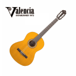 Guitare Classique Hybride VALENCIA VC204-H