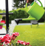 Arrosoir en Plastique Pour jardin 6L – Image 2